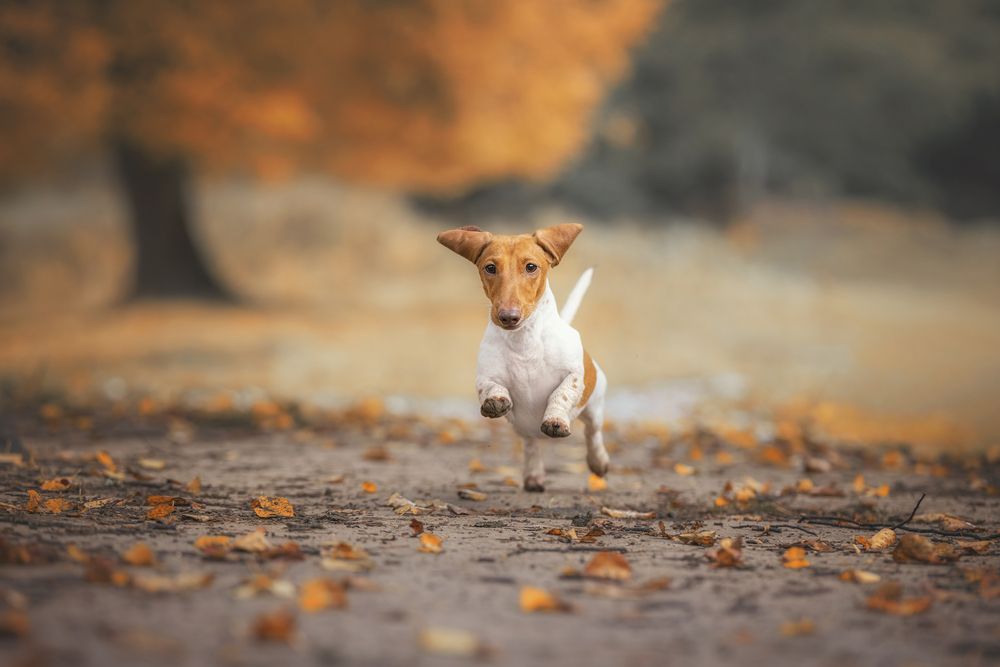 Photograph by Зубкова Юлия