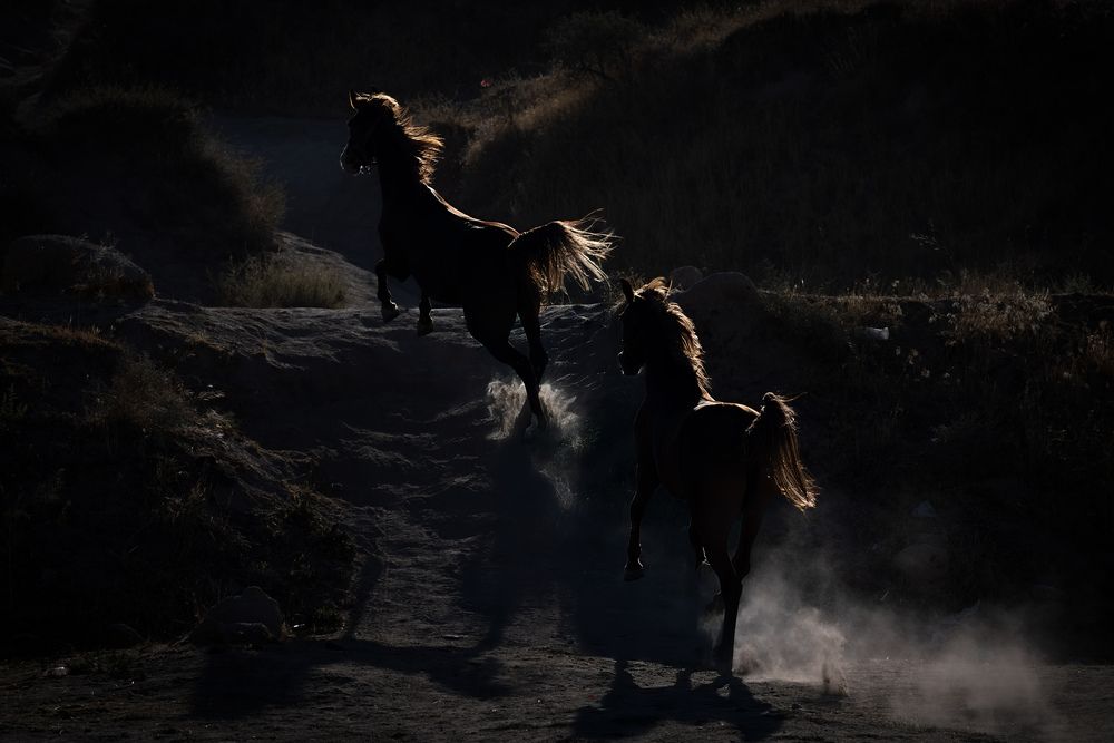 Dance of Dust and Light