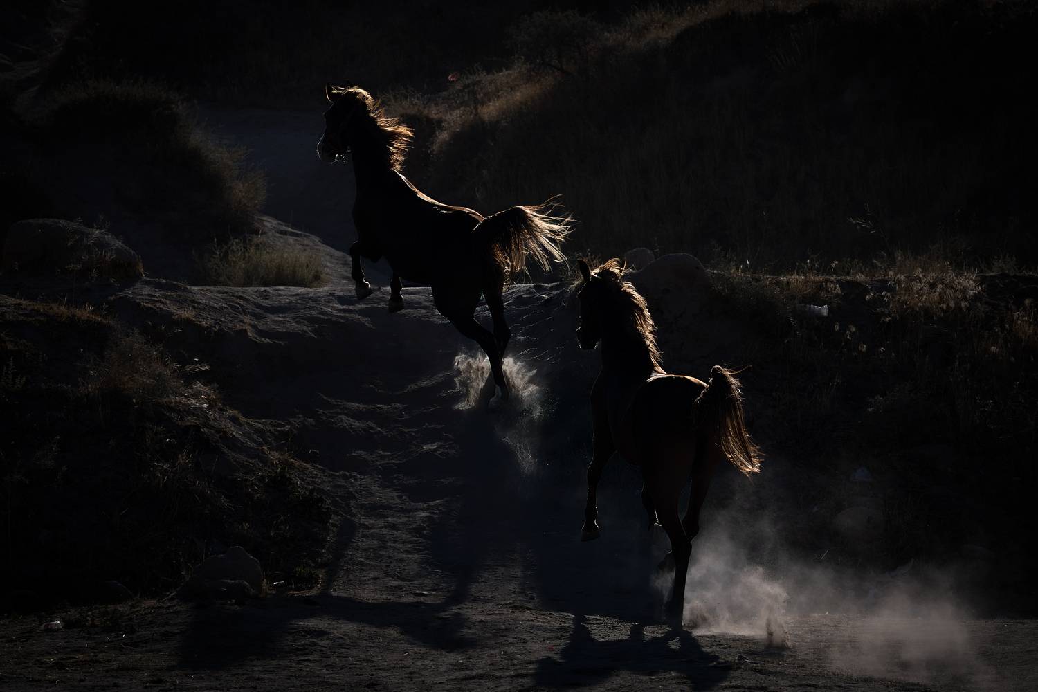 Dance of Dust and Light Dance of Dust and Light