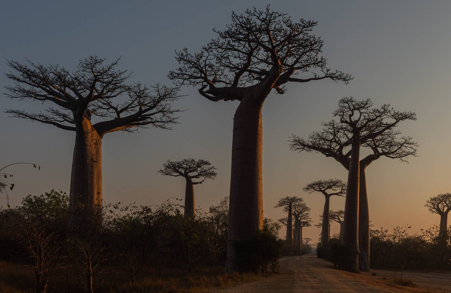 Mystery of Madagaskar