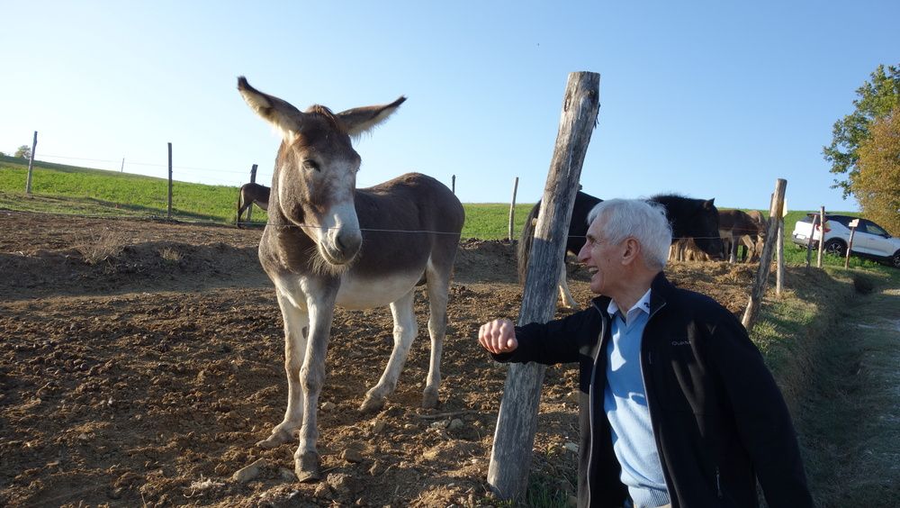 Фотография автора Liliana C.