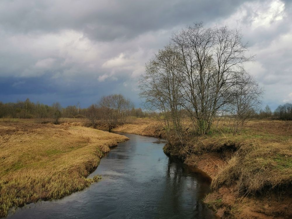 Фотография автора Андрей Шестаков