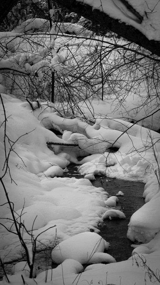 Фотография автора Войнов Дмитрий