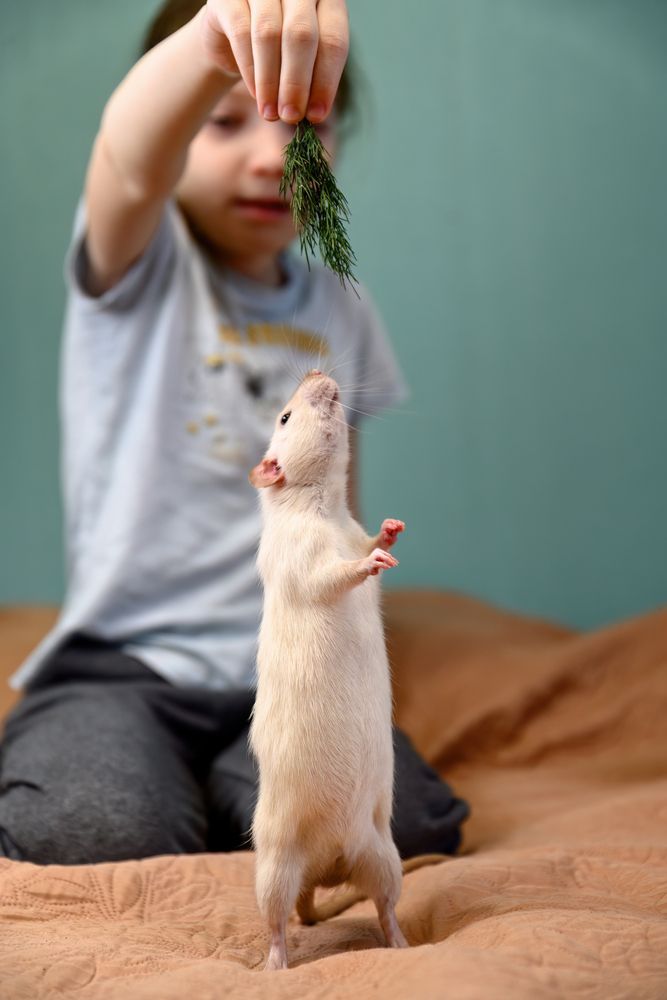 Фотография автора Станислав Левандовский