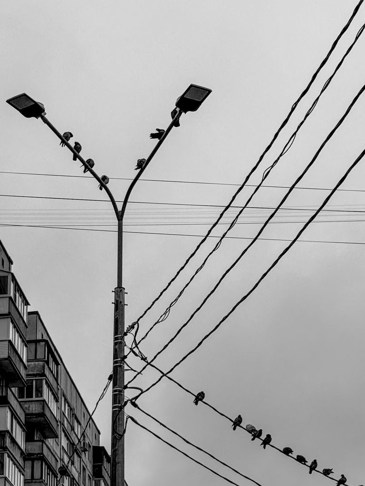 Photograph by Vladimirova Daria