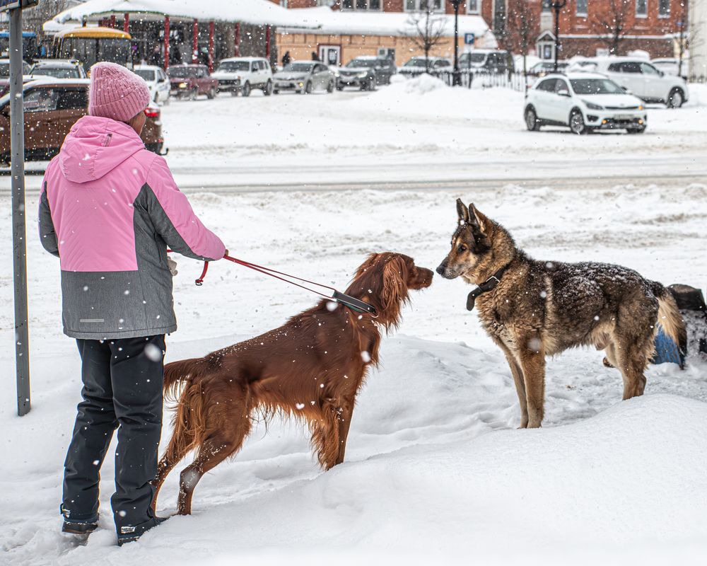 Фотография автора Николай Абакумов