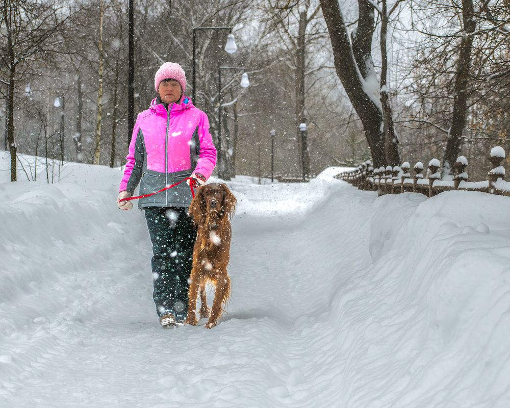 Фотография автора Николай Абакумов