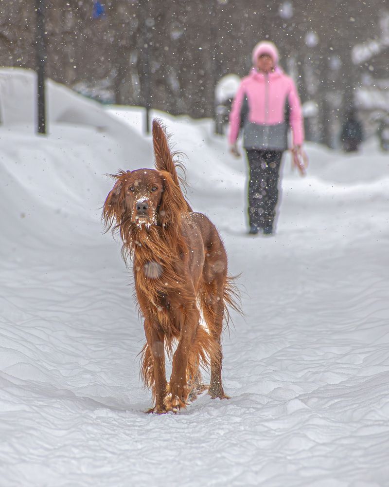 Фотография автора Николай Абакумов