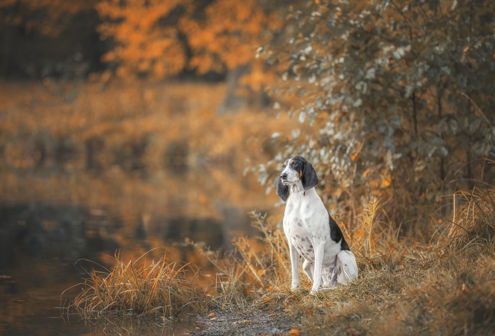 Photograph by Зубкова Юлия