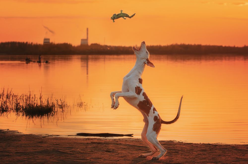 Photograph by Зубкова Юлия