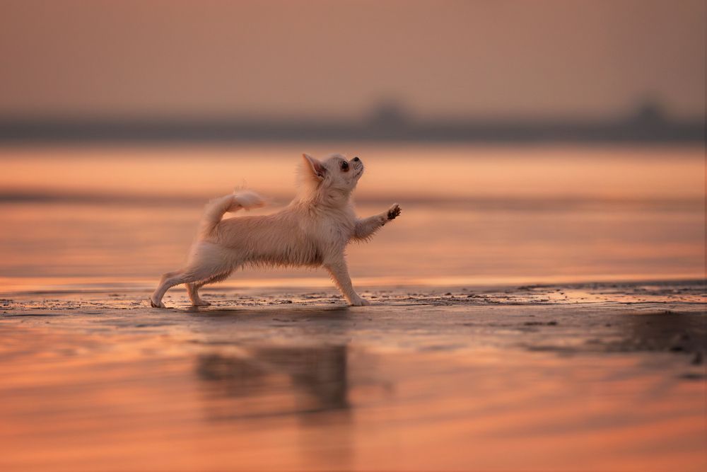 Photograph by Зубкова Юлия