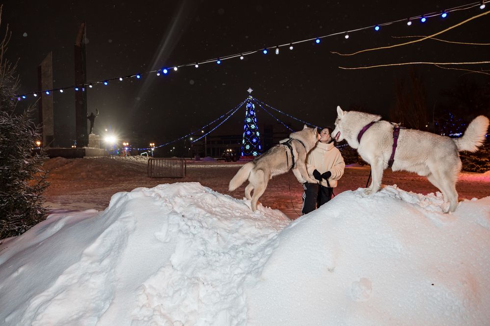 Фотография автора Артём Пышкин