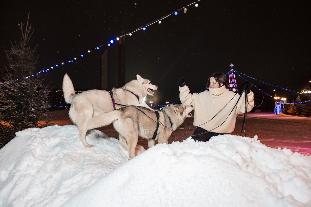 Фотография автора Артём Пышкин