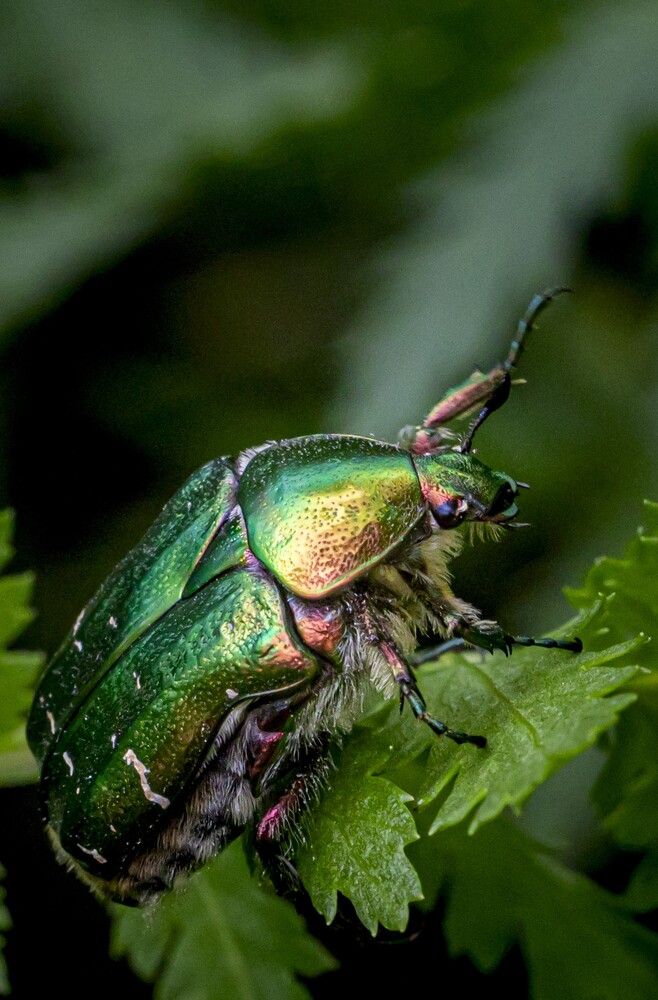 Photograph by Юлия Шурандина