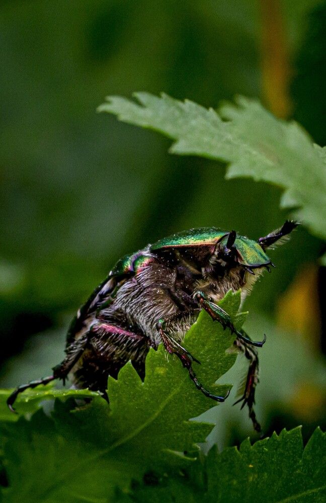 Photograph by Юлия Шурандина