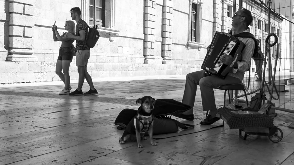 Photograph by Barbara Pindo