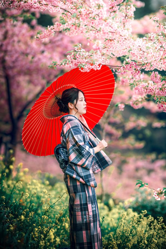 Фотография автора Uesan Aliace