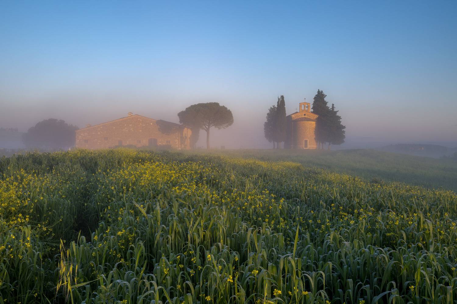 Туманное утро в Тоскане Туманное утро в Тоскане
