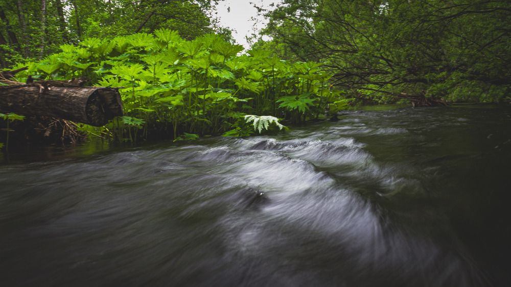 Photograph by Александр Салякаев