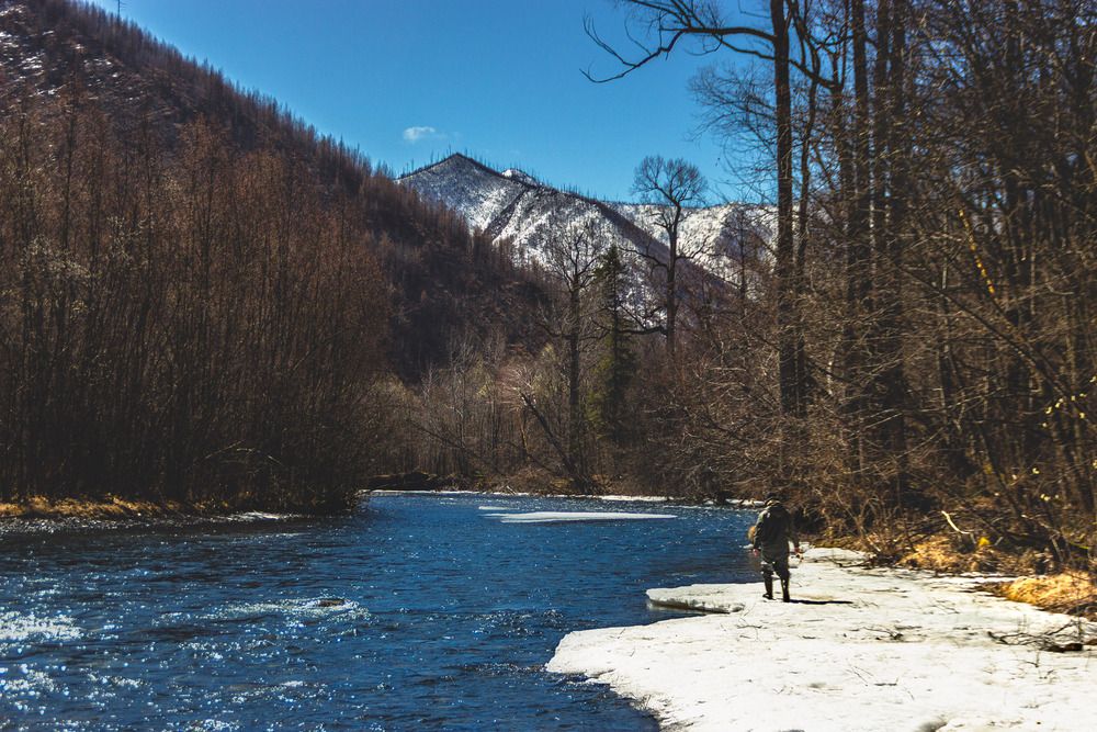 Photograph by Александр Салякаев
