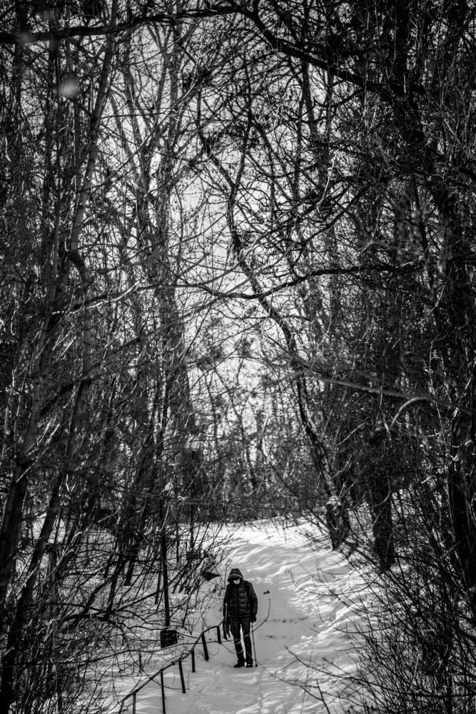 Photo #13310413