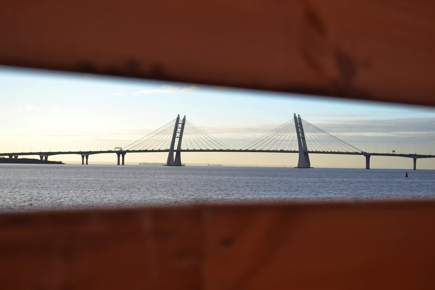 Photo #13310434