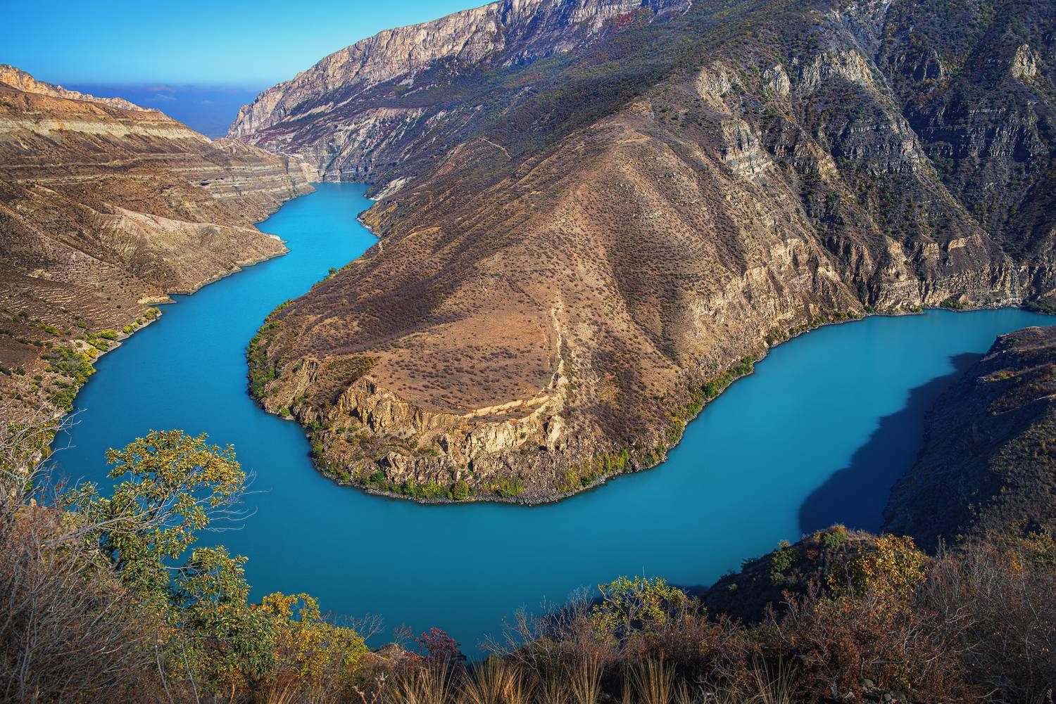 Фотография #13310462