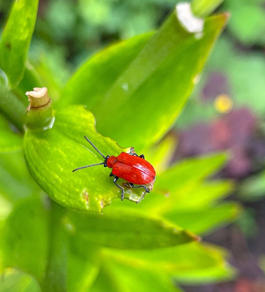 Photograph by Михаил Шевцов