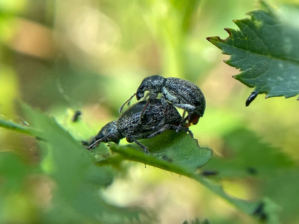 Photograph by Михаил Шевцов