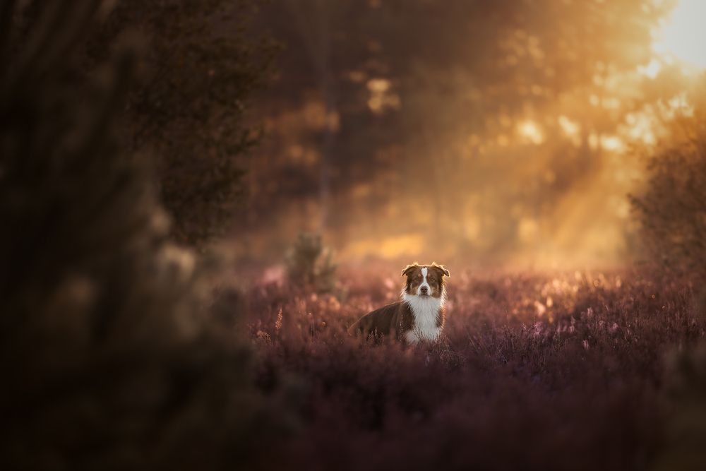 Photograph by Frozen Motion