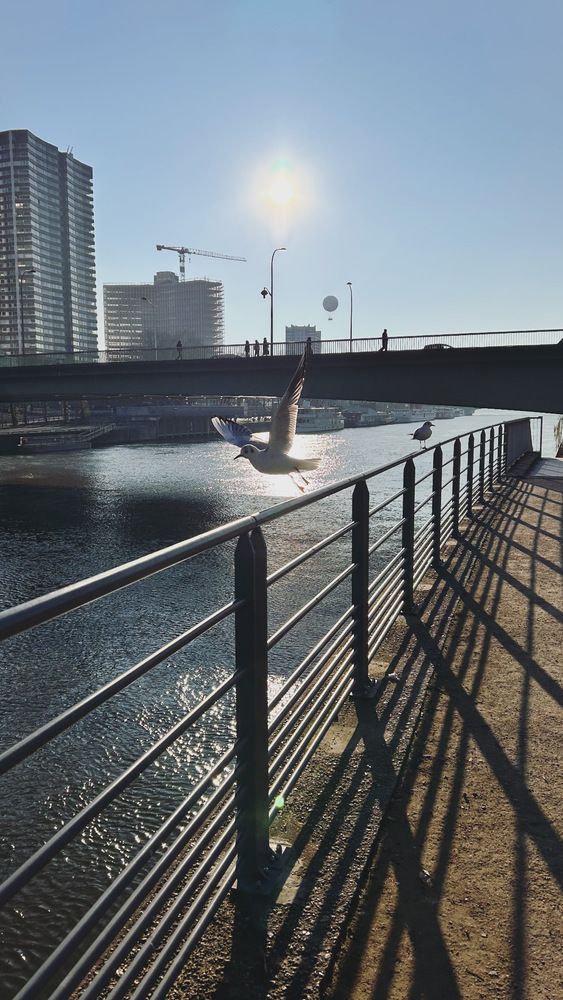 Photograph by Uliana En