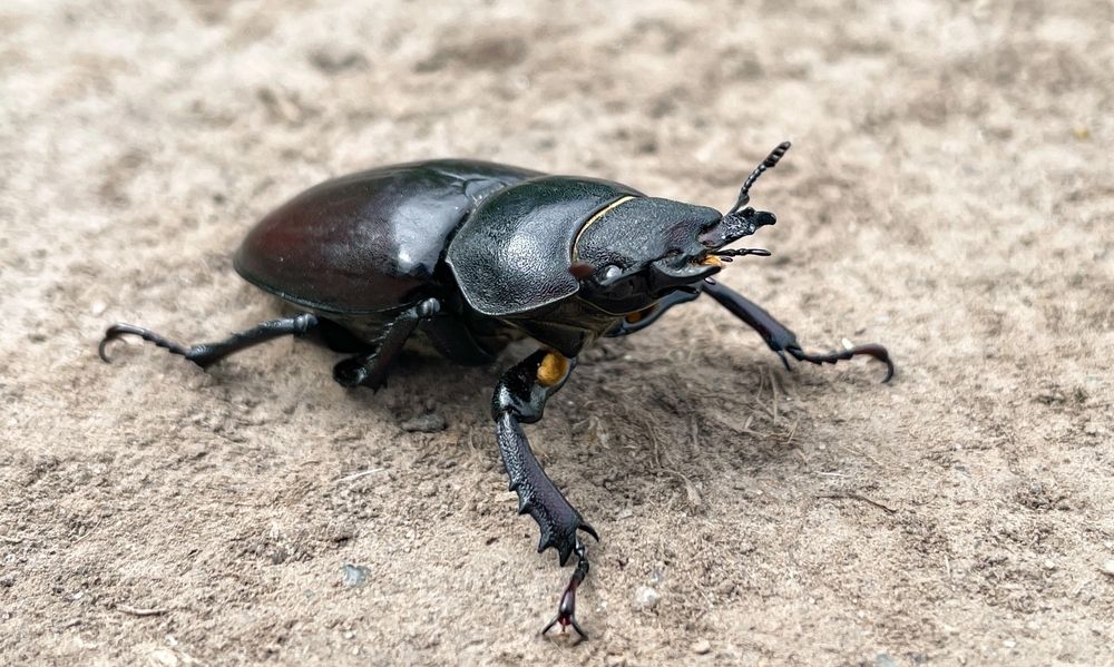 Photograph by Михаил Шевцов