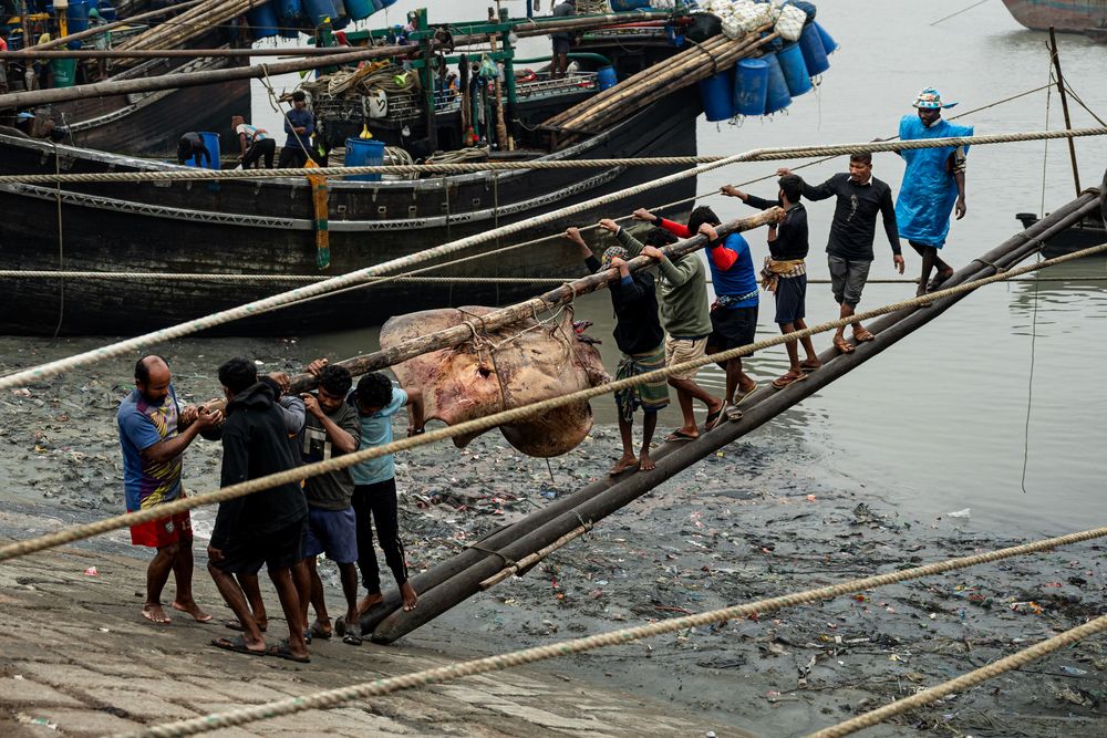 Sharing the Load of the Catch