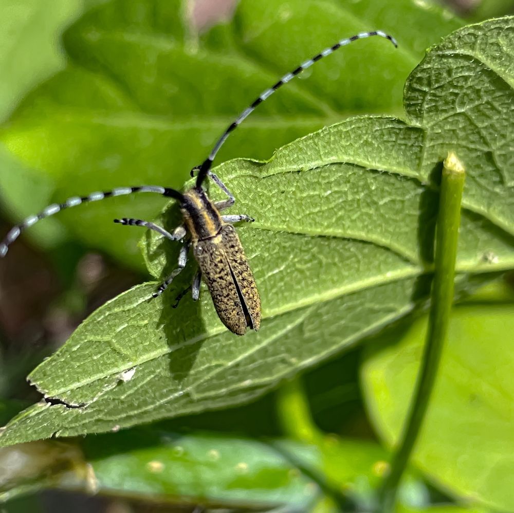 Photograph by Михаил Шевцов