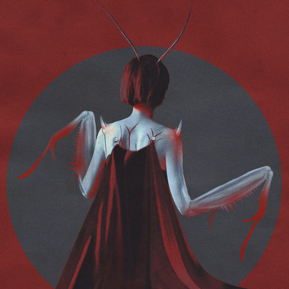 Photograph by Lana Cardi