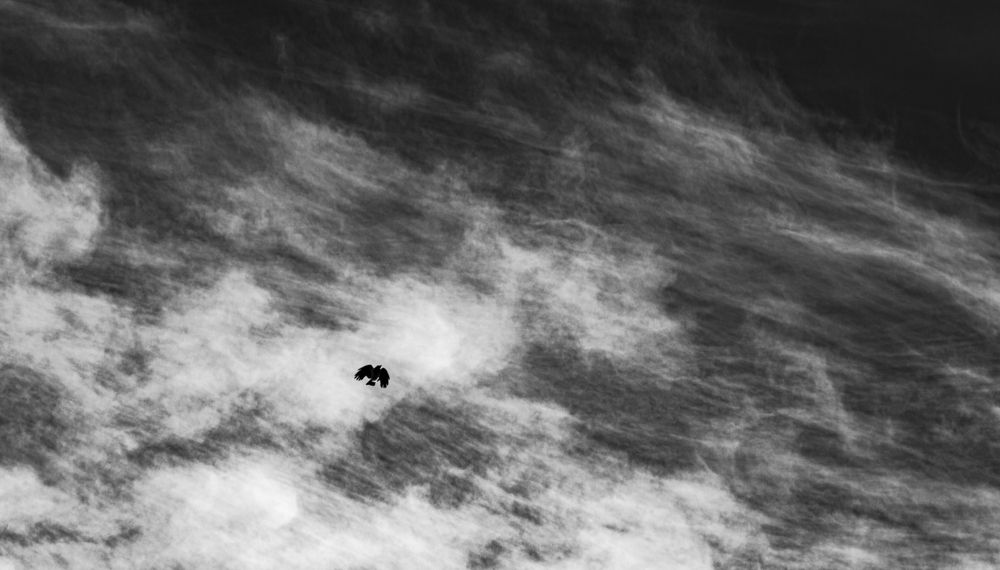 Photograph by Михаил Еремеев