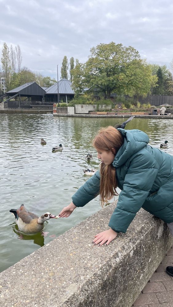 Photograph by Uliana En