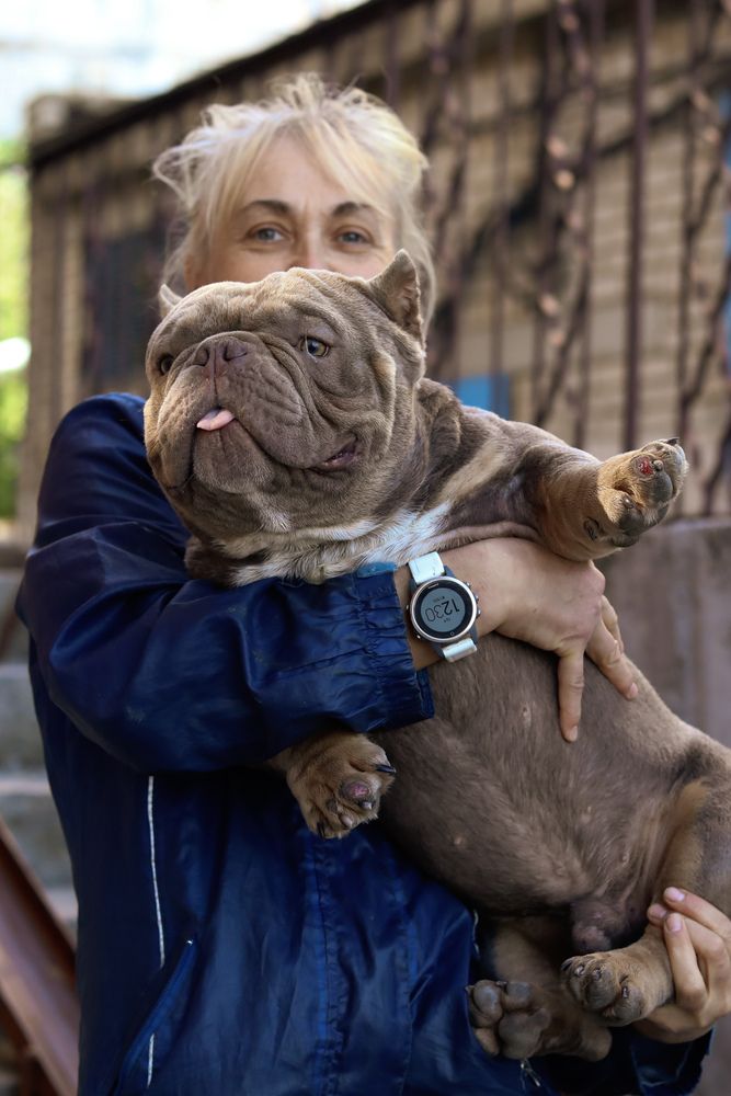 Фотография автора Елена Чурилова