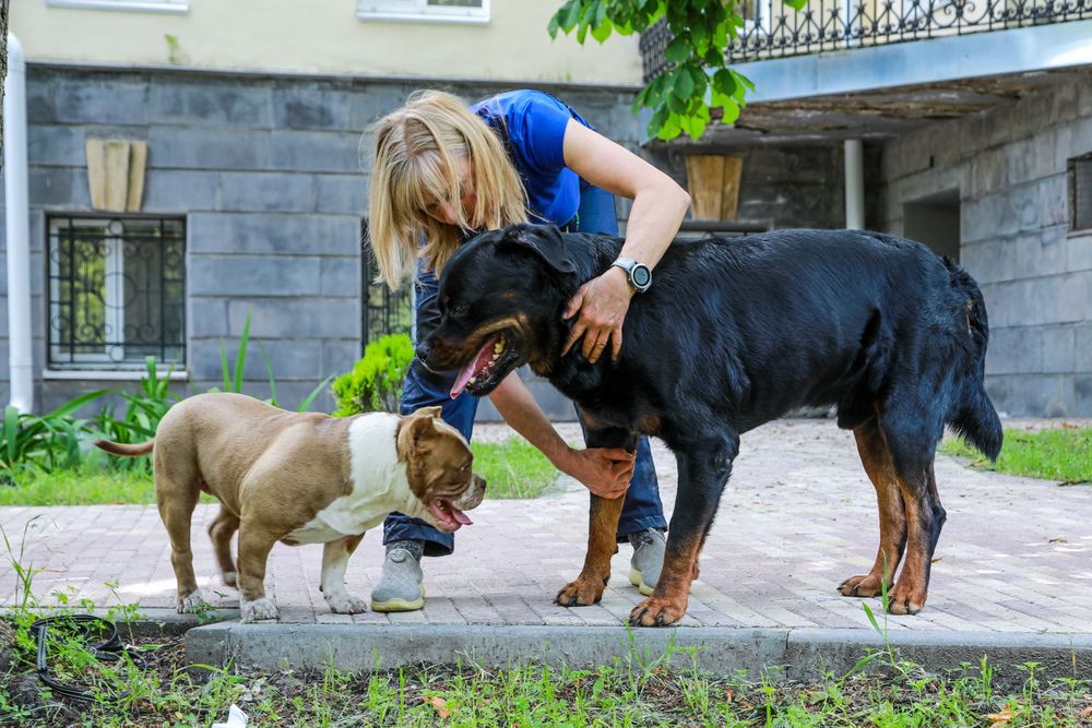 Фотография автора Елена Чурилова