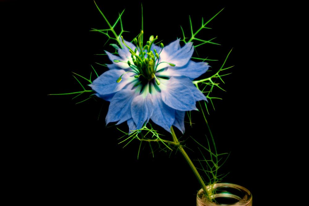 Photograph by Сергей Христинич