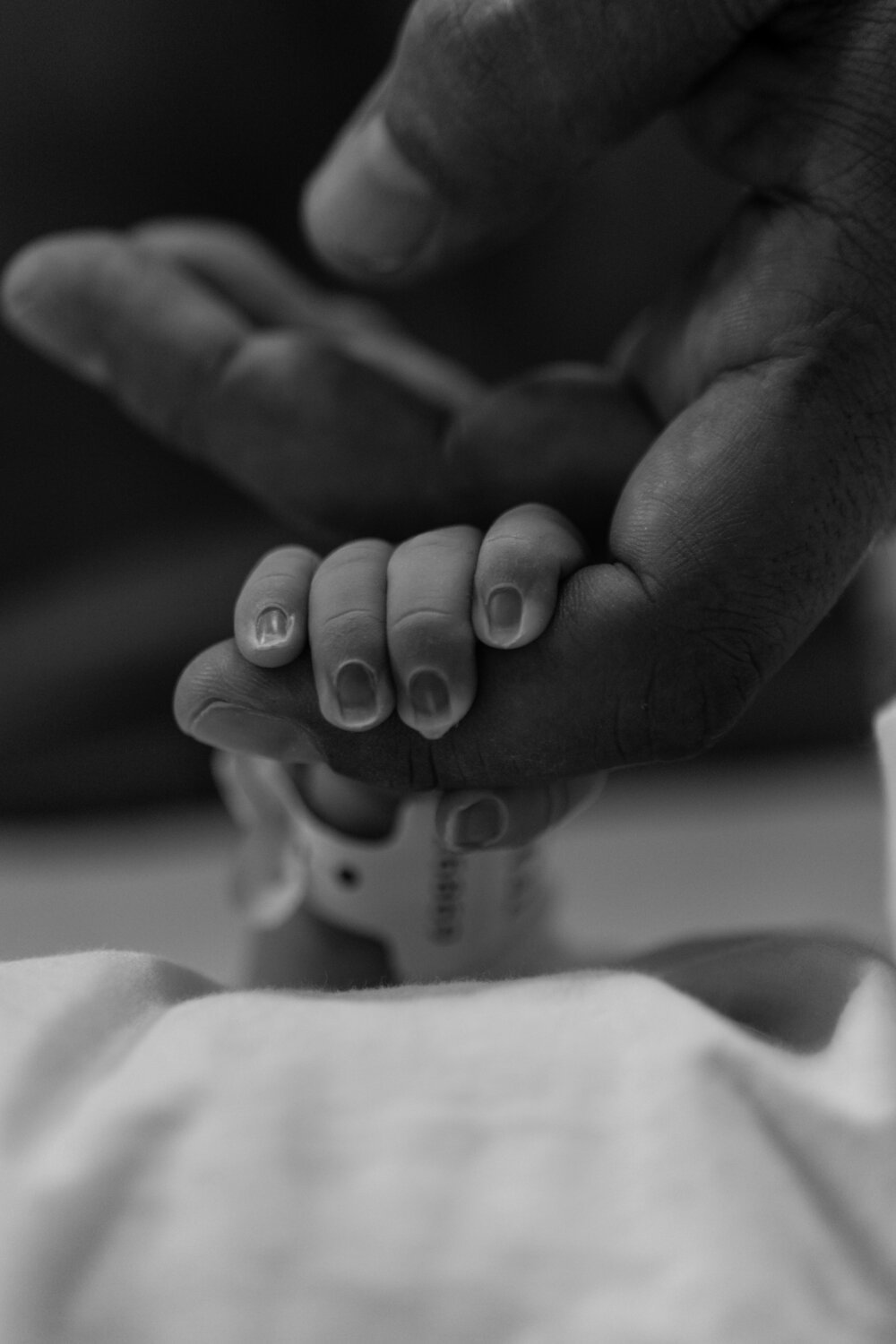 Photo #13310804