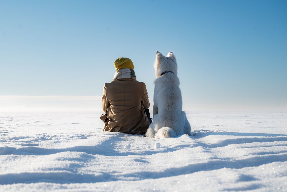 Photograph by Дьяченко Алёна