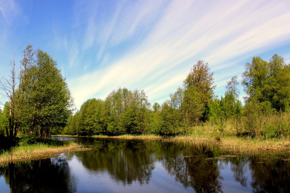Фотография автора Алексей Макаров