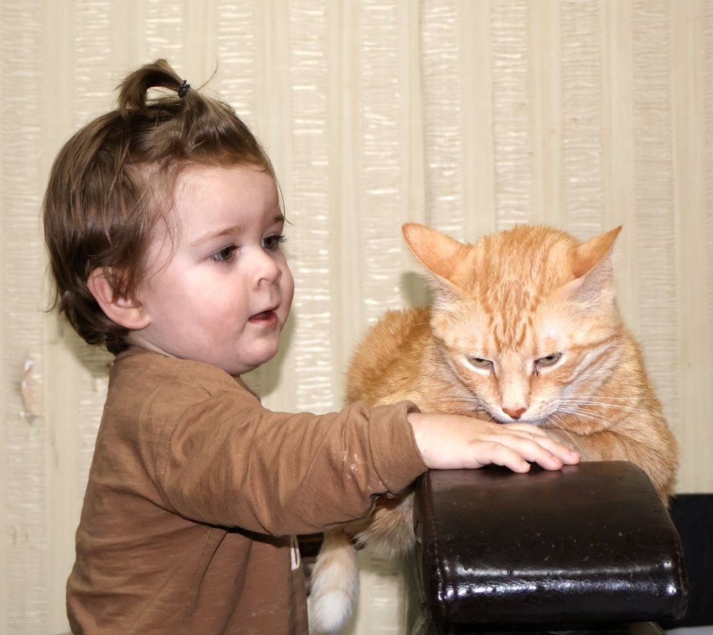 Photograph by Надежда Васильевна