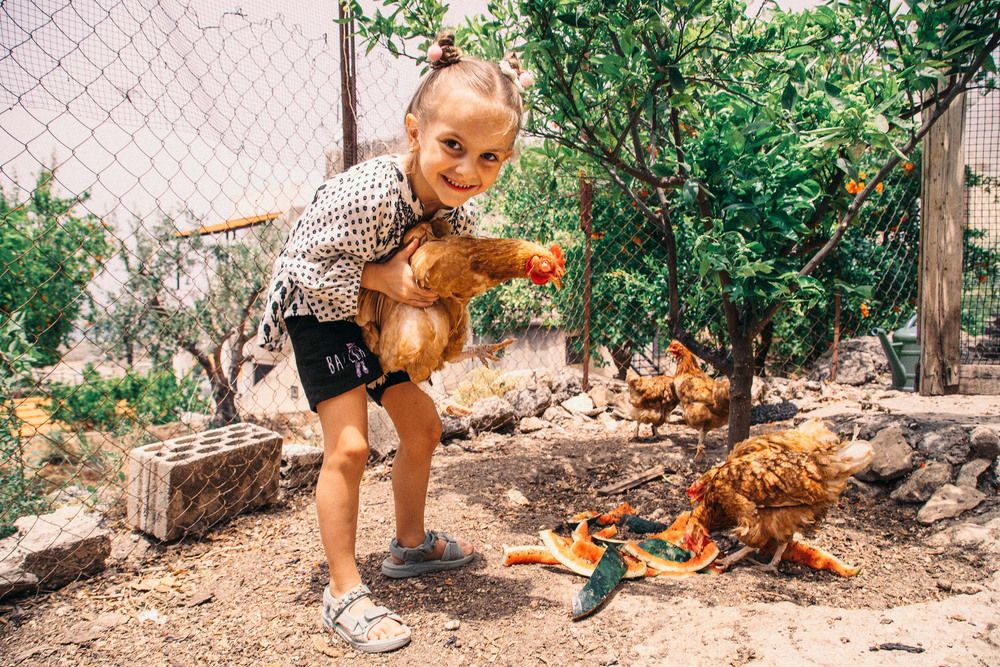 Photograph by Наталья Шумиловская