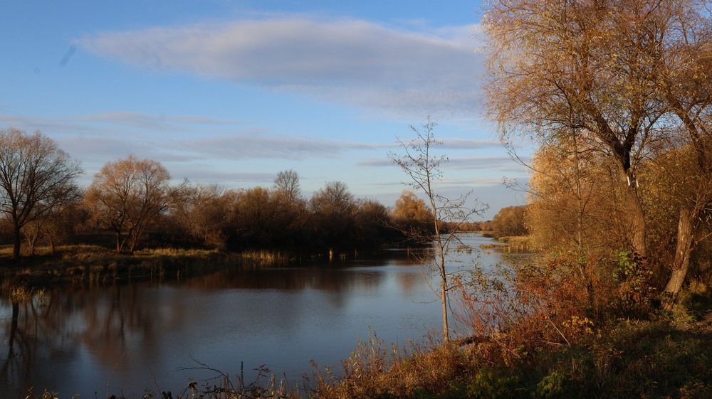 Photograph by Надежда Васильевна