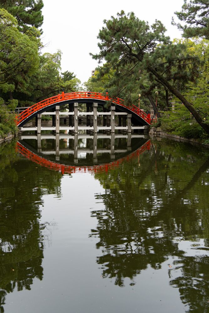 Фотография автора Светлана Зимина