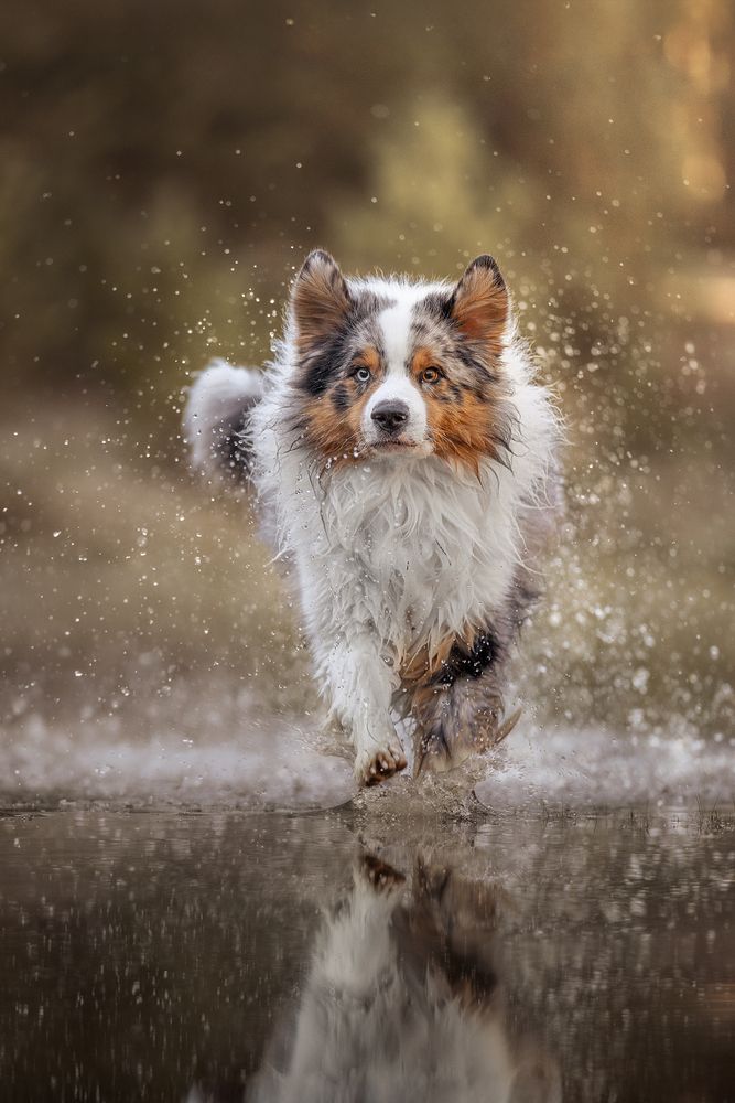 Photograph by Frozen Motion