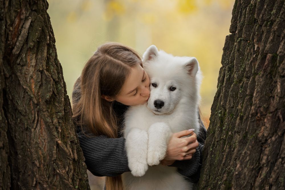 Photograph by Мария Комратова