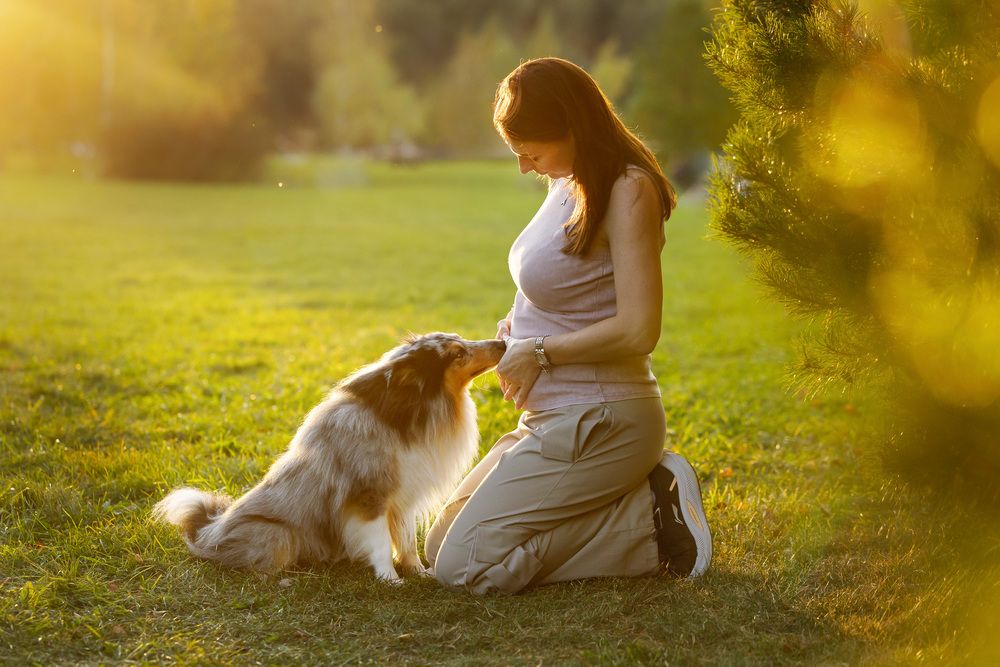 Photograph by Мария Комратова